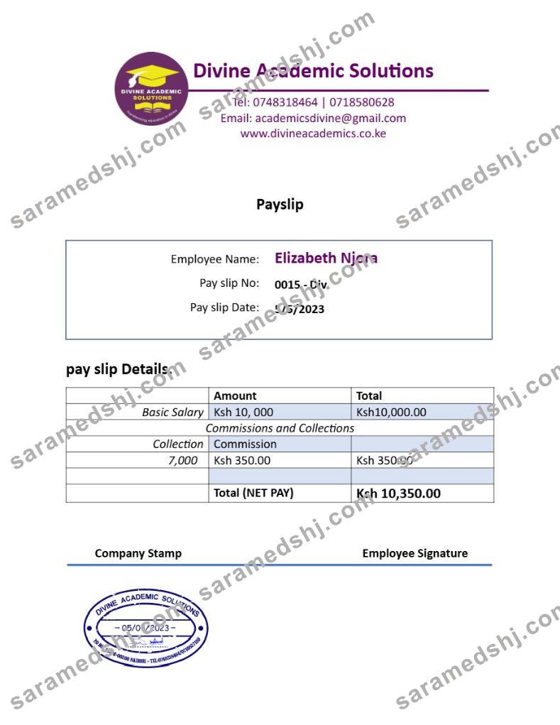 Divine Academic Solutions payslip template in Word and PDF formats.pdf, 1